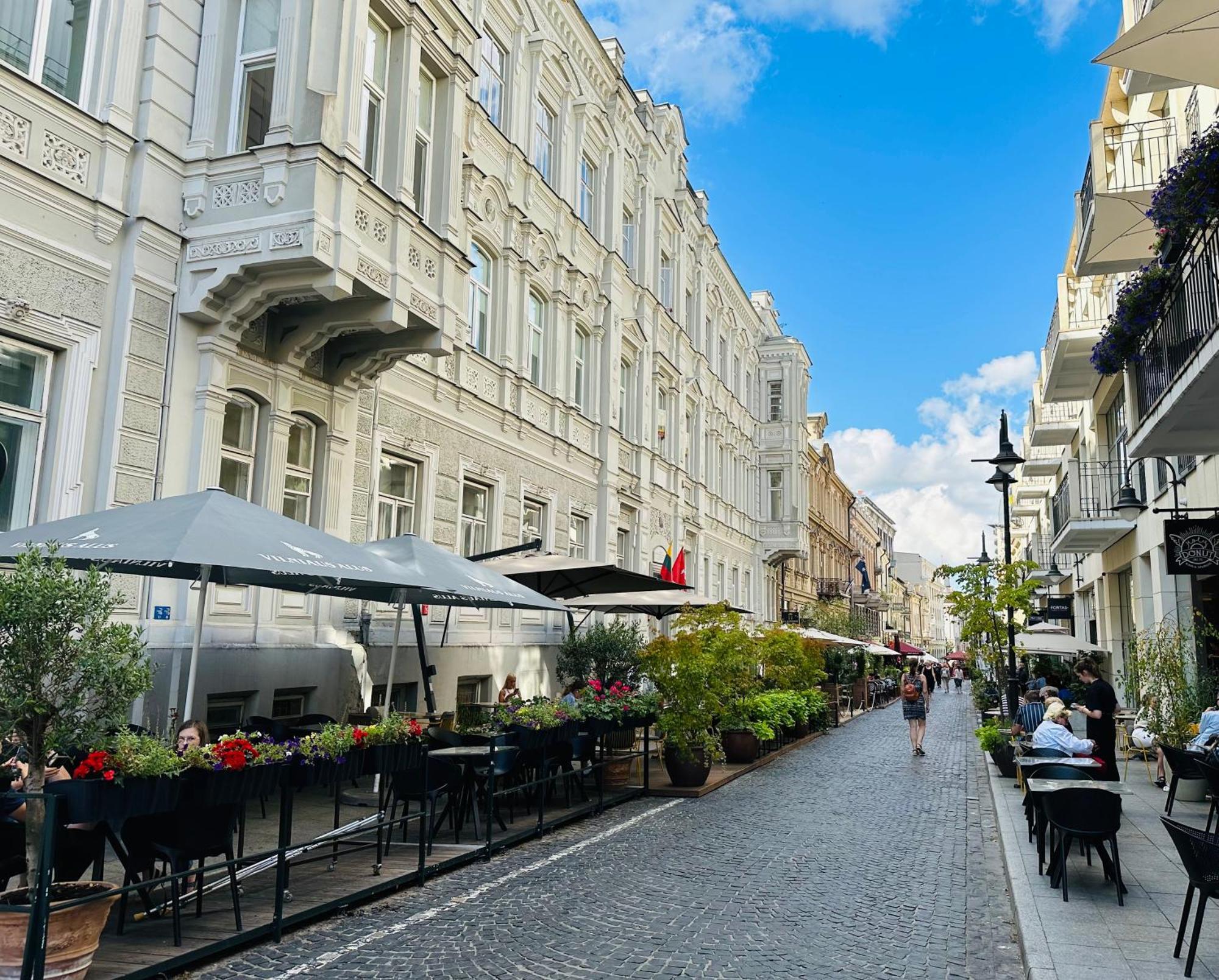 Vilnius Street Apartment المظهر الخارجي الصورة